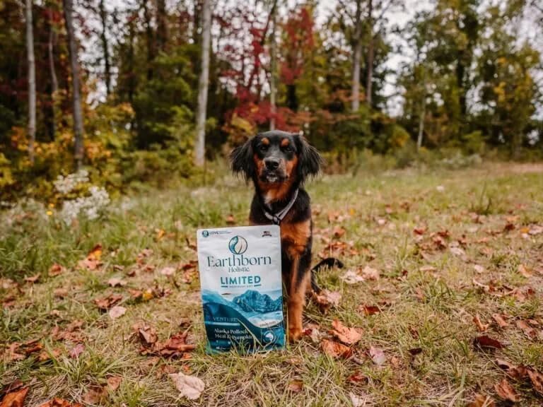 Earthborn Holistic Venture puppy-friendly diagram suggests DHA and taurine support.