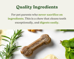 Earthly Earthbones Dental large dogs container open demonstrates easy dispensing for daily routines.