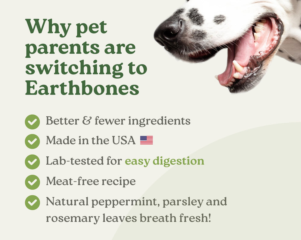 Earthly Earthbones Dental large dogs in action supports enjoyable chewing as part of daily care.