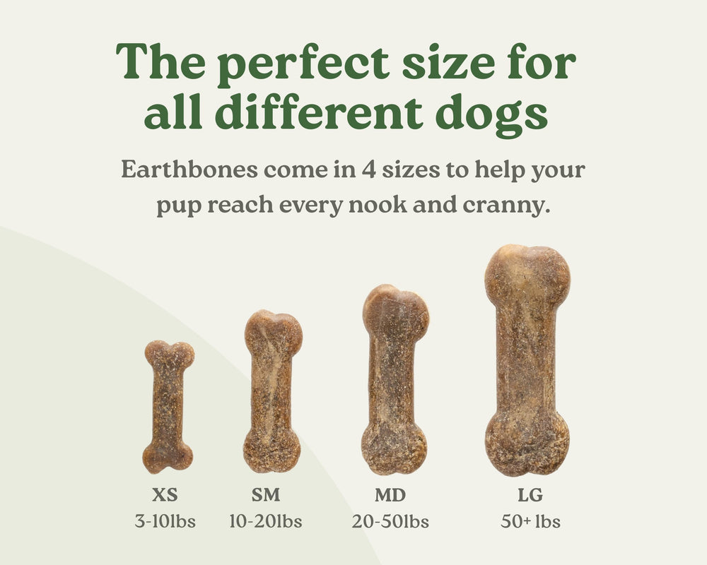 Earthly Earthbones Dental large dogs ingredients label highlights natural components for pet-safe care.