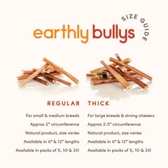 Earthly Maplewood grass-fed beef ingredients close-up for natural dog chews