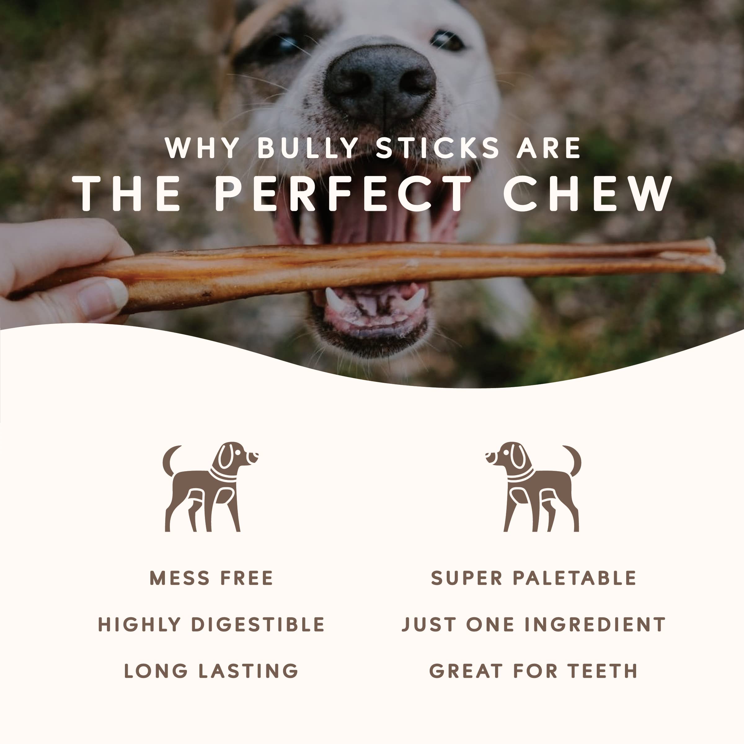 Earthly Maplewood SQF-certified kitchen ensures high standards in Canada-made chews