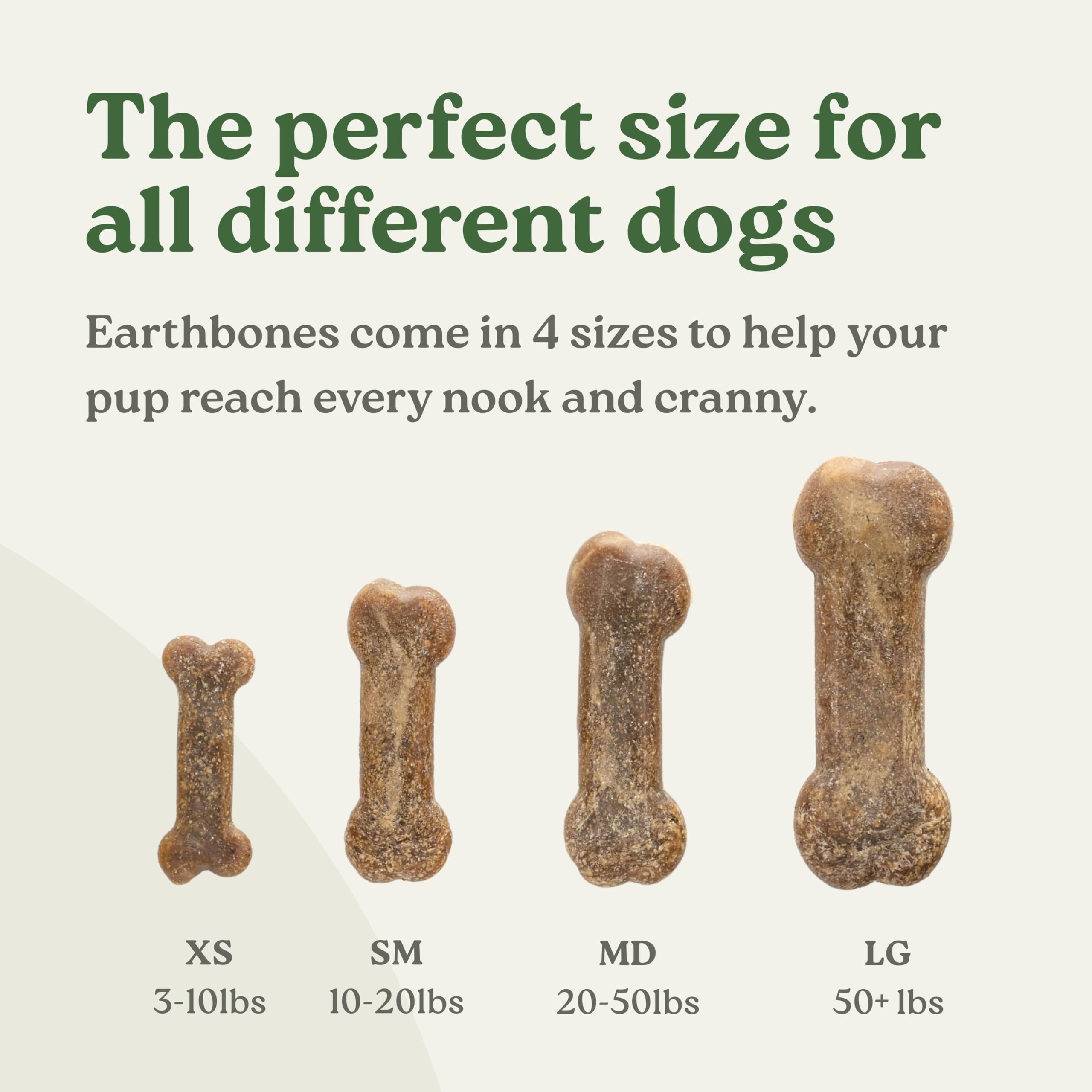 Earthly Presidio Earthbones lab-digestibility badge highlighting tested chewability for dogs