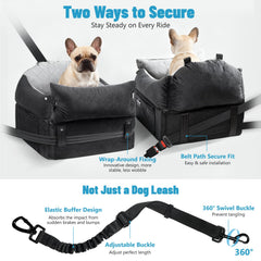 EASTBLUE dog seat belt clip demonstrates secure, adjustable harness