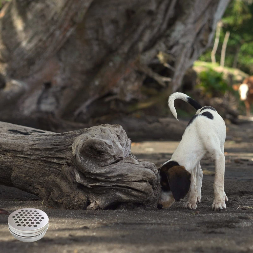 Nose Work for Dogs easy-clean tins allow quick reuse after training drills.