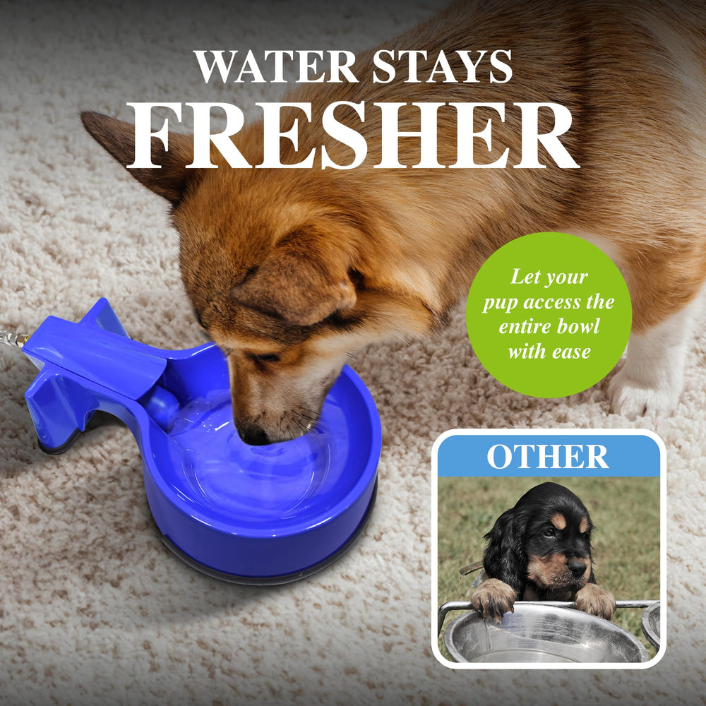 Easy-Clean Water Bowl compact design minimizes space and cleaning effort.