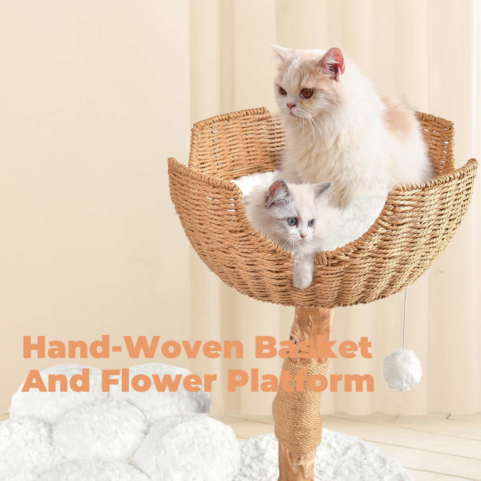 Easyego all-season mats: plush, washable surfaces for year-round comfort and quick cleaning