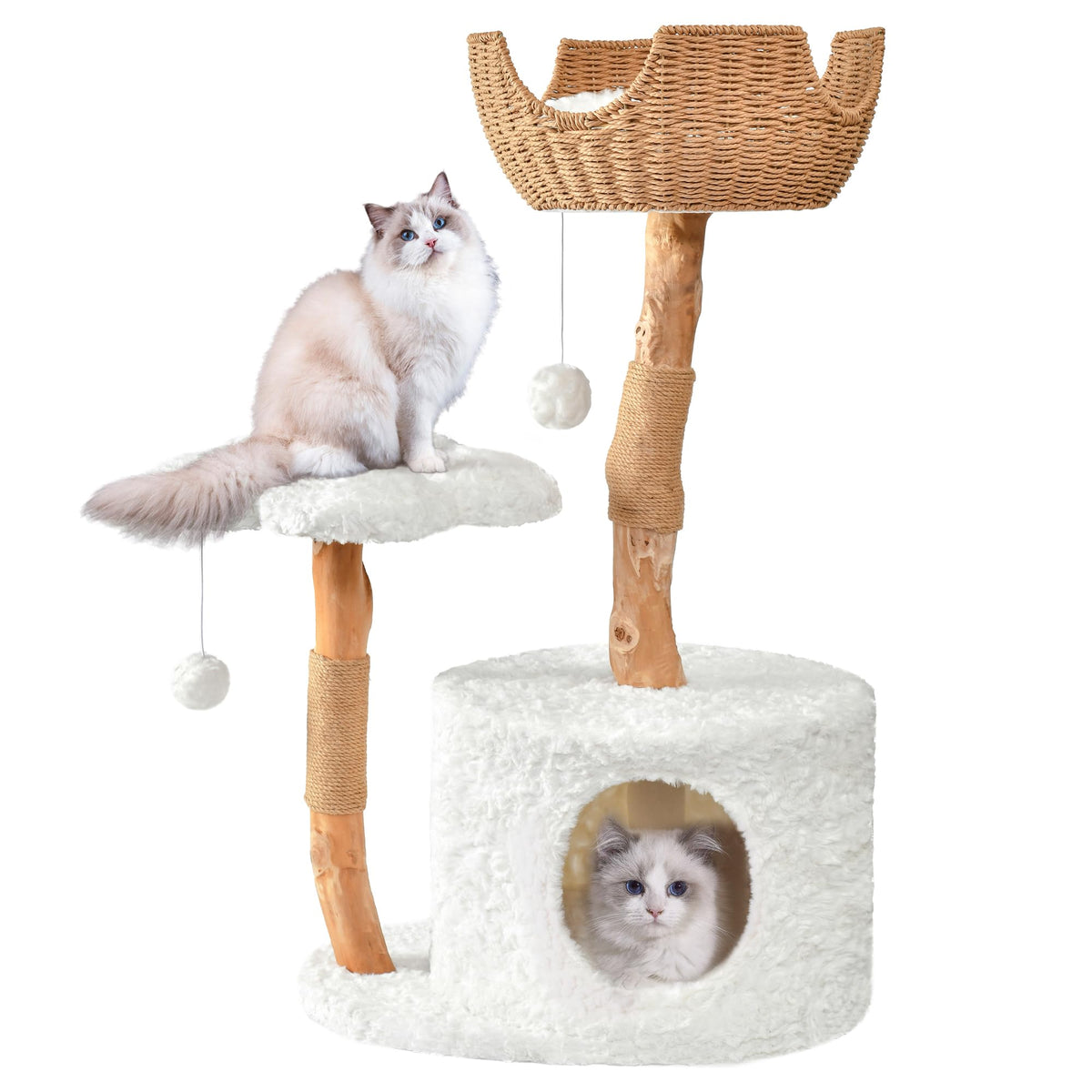 Easyego modern cat tree assembly: sturdy pear wood for climbing and lounging in multi-cat homes