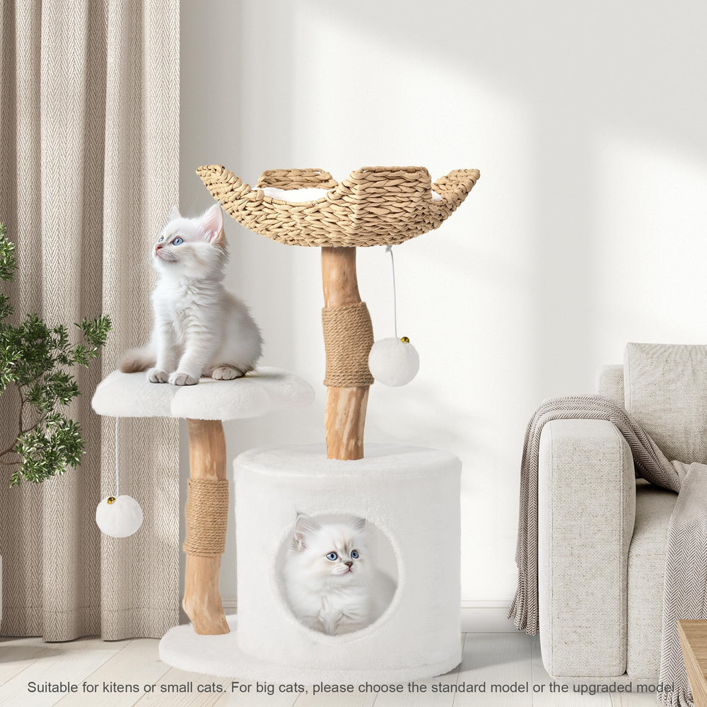 Easyego pear-wood-closeup highlights durable natural wood and craftsmanship.