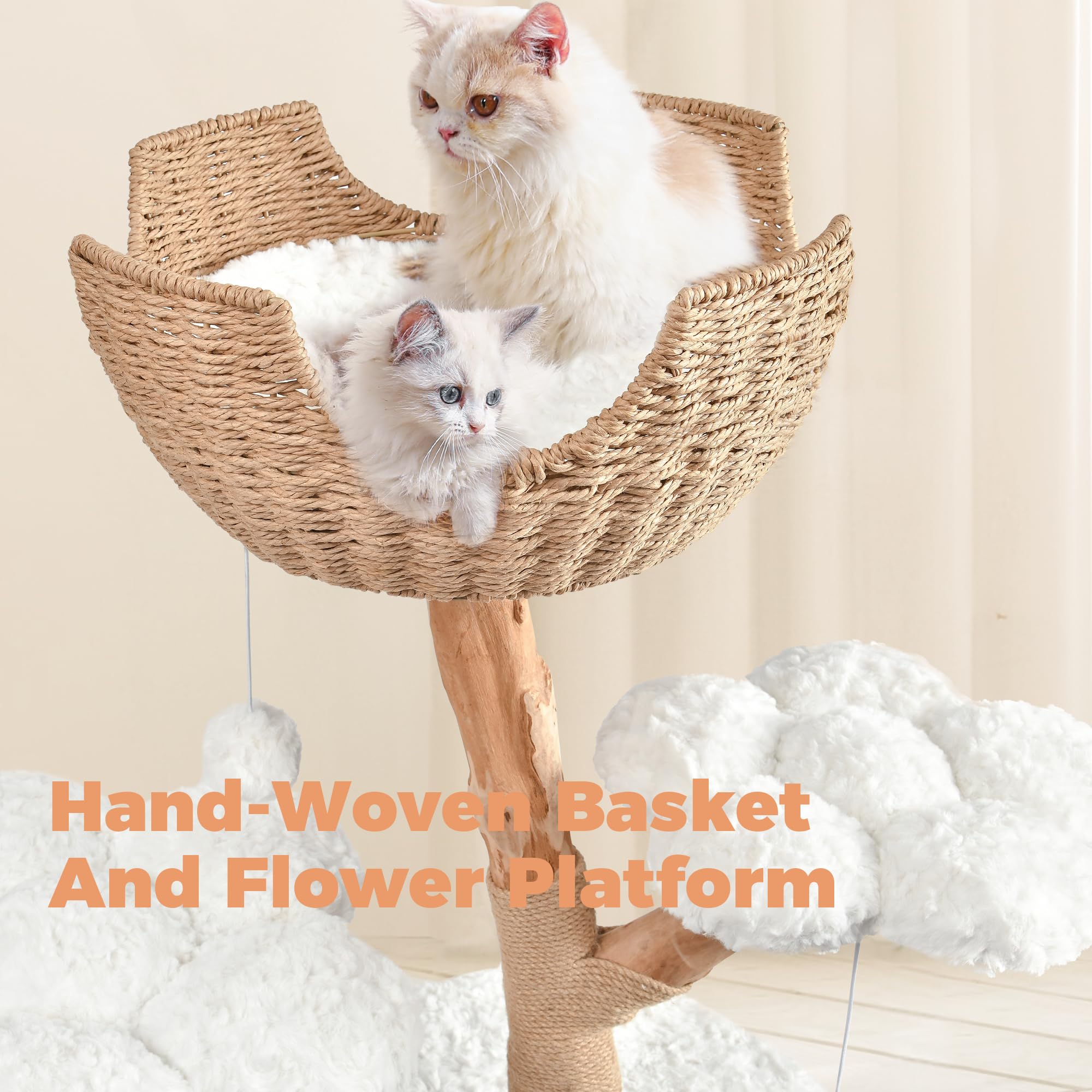 Easyego scratching posts and furry balls for playful enrichment.