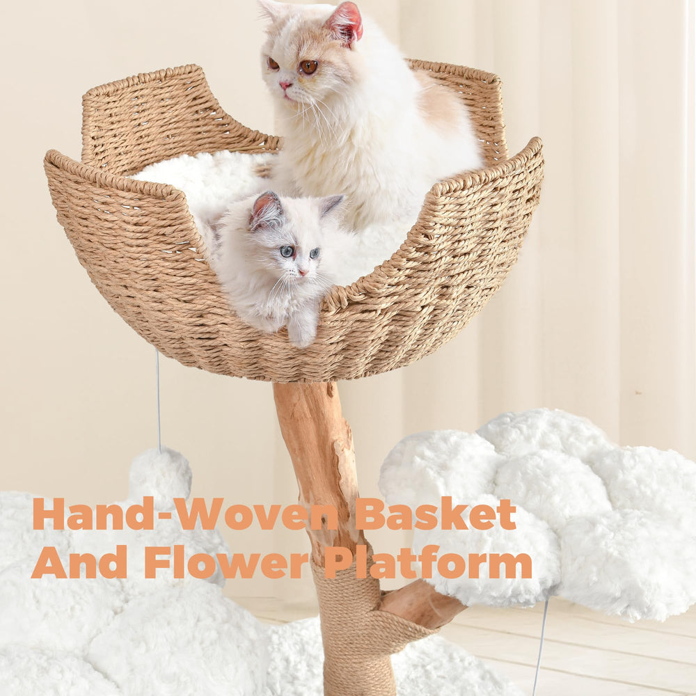 Easyego scratching posts and furry balls for playful enrichment.