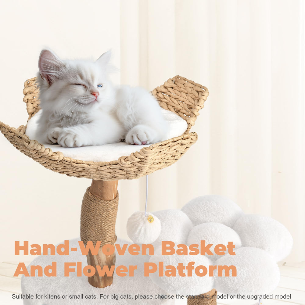 Easyego scratching-posts-and-furry-balls promote safe play and daily exercise.