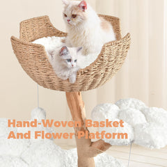 Easyego scratching posts and furry balls for playful enrichment.