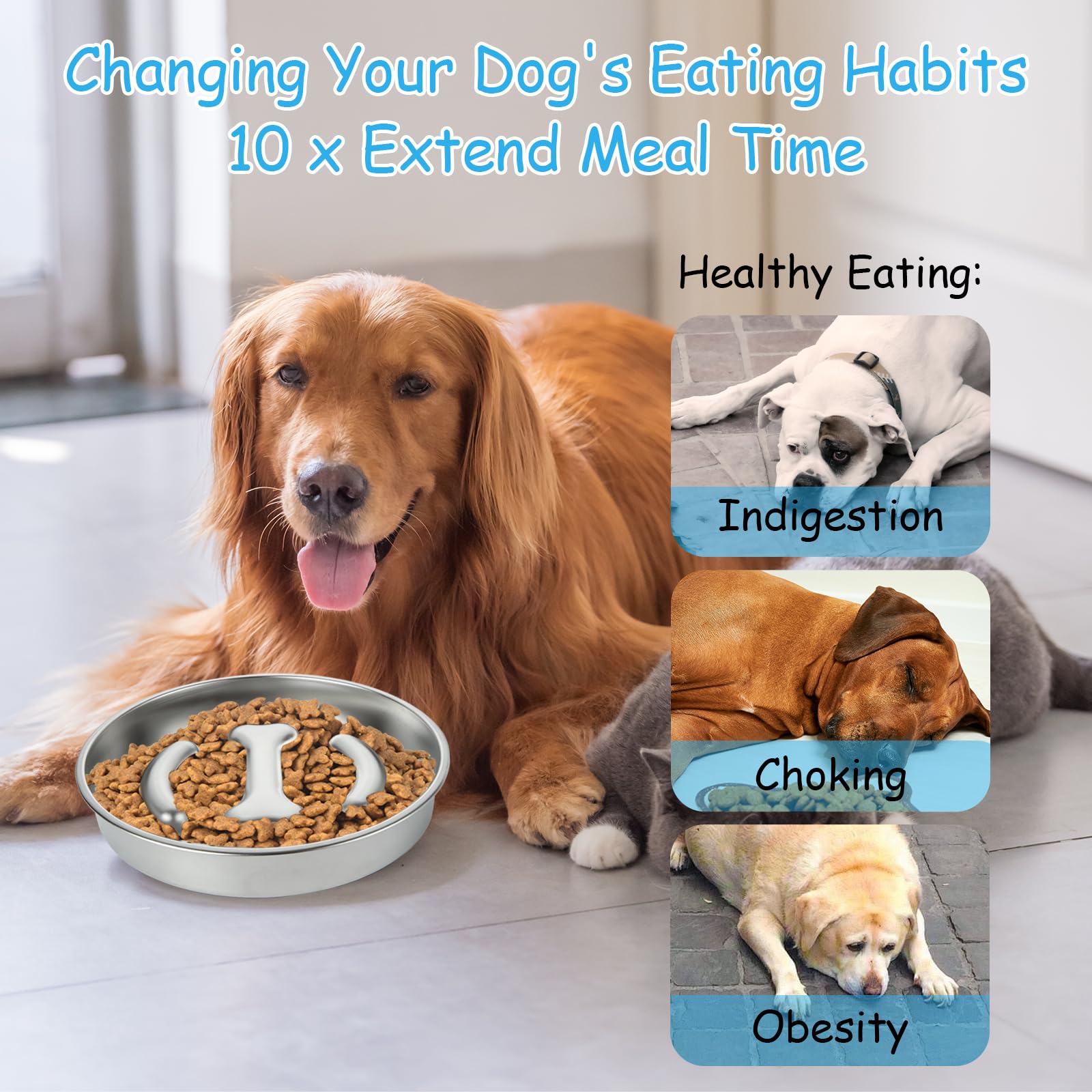 EATHEATY non-slip base keeps bowls steady during meals.