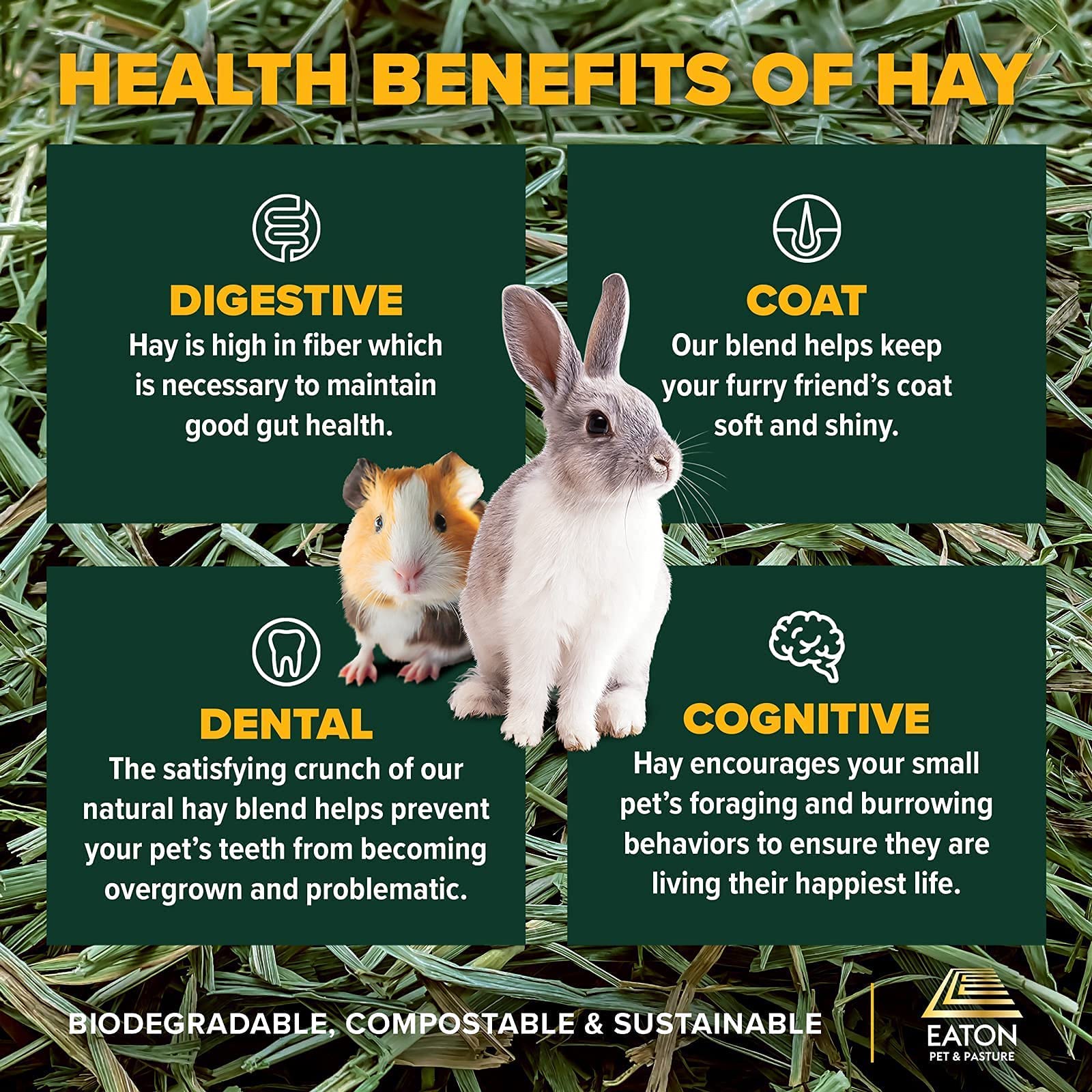 Eaton Pet and Pasture crunchy hay aiding dental-friendly activity.