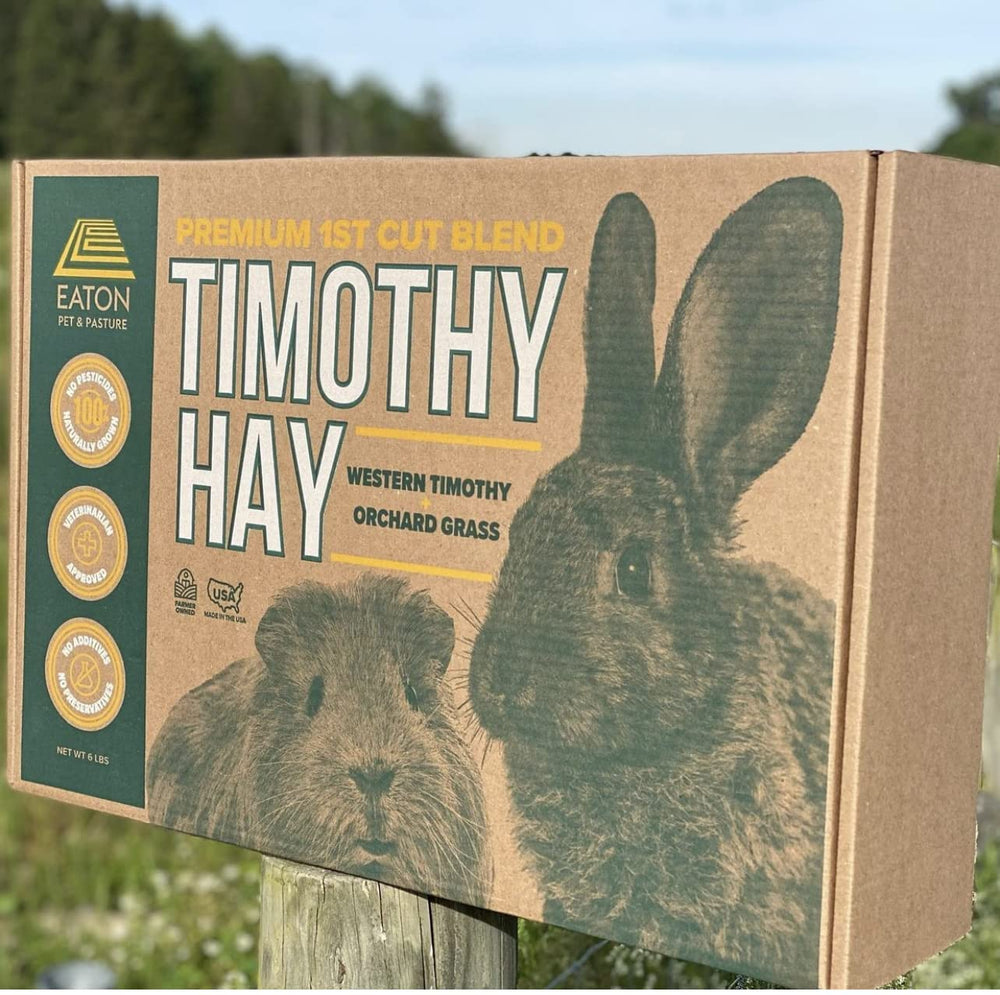 Eaton Pet and Pasture feeding setup hints at foraging enrichment.
