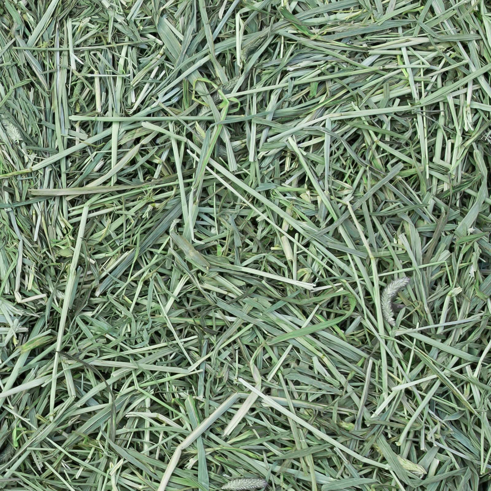 Eaton Pet and Pasture hay flake detail showcases quality texture.