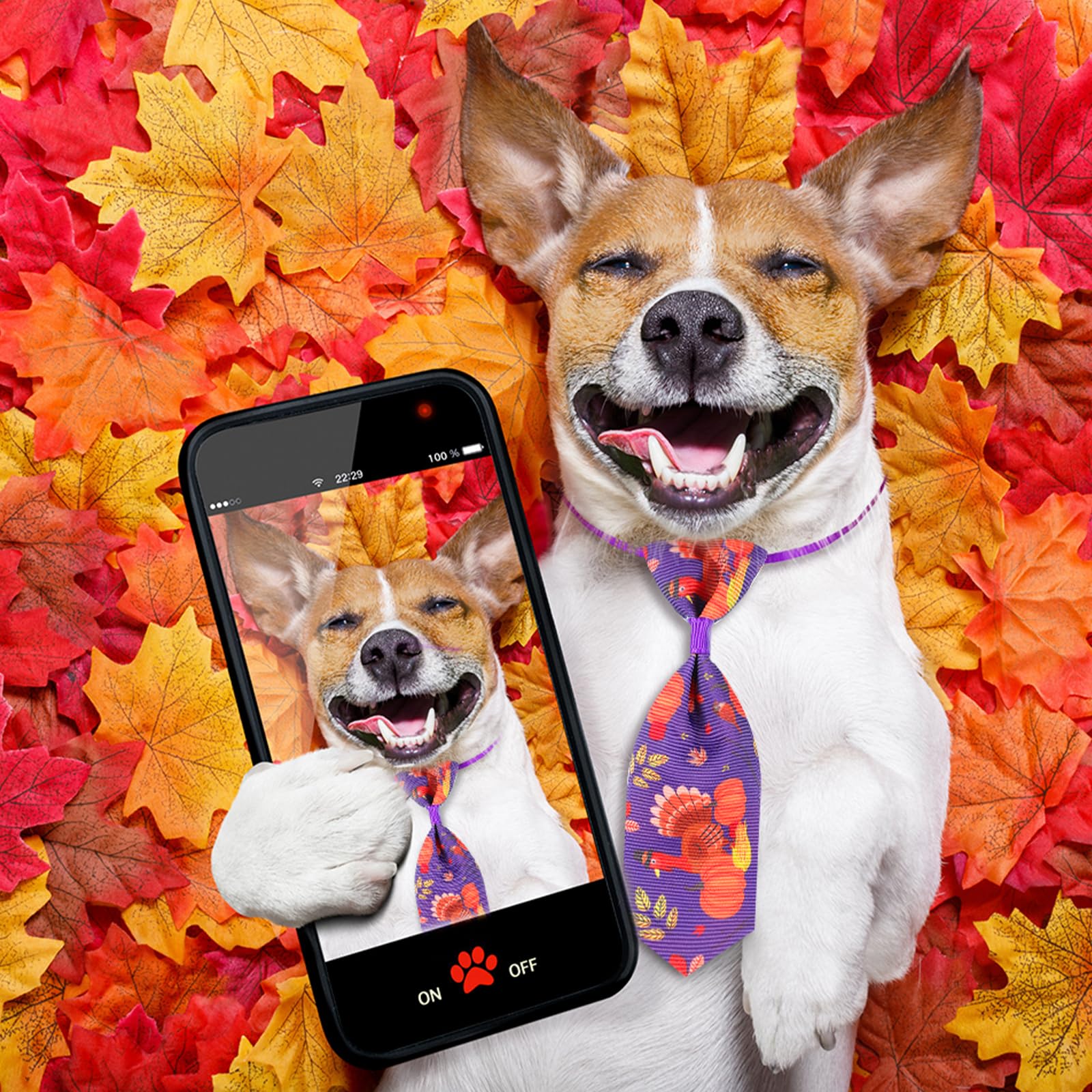 Eccliy autumn leaves necktie enhances Thanksgiving outfits and family photos