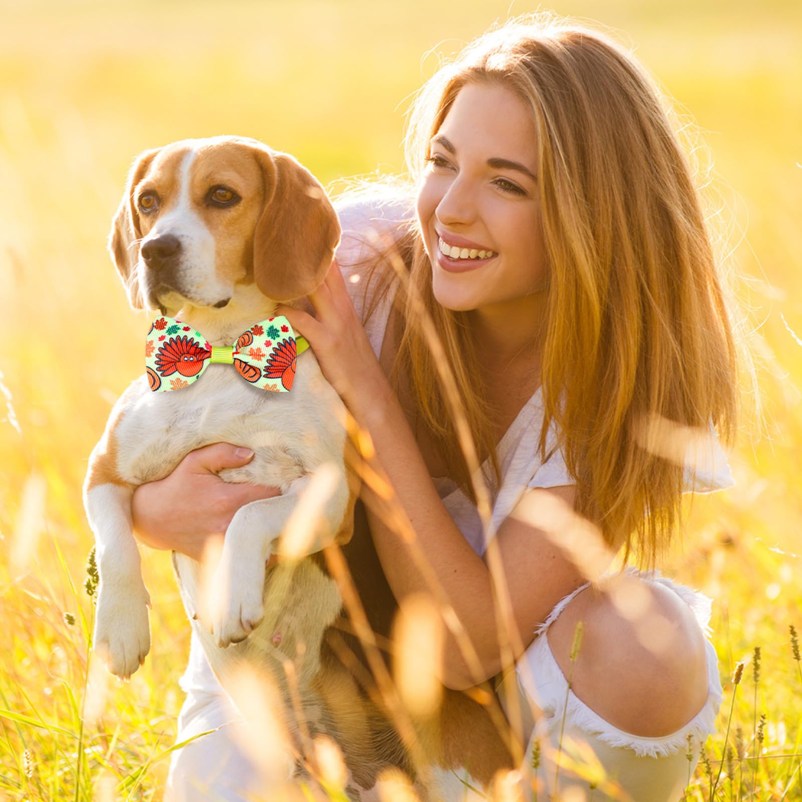 Eccliy pumpkin-pattern bow tie on collar adds holiday charm