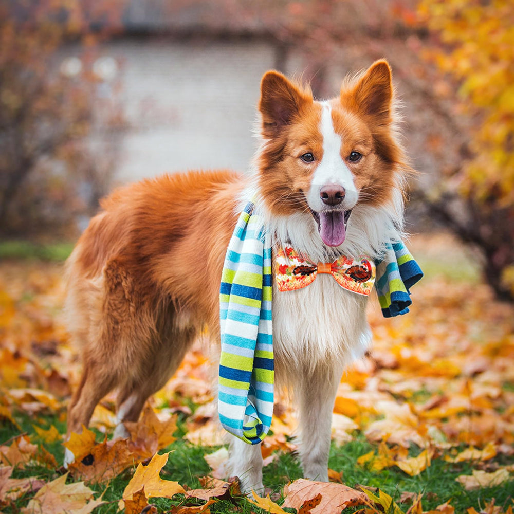 Eccliy ghost and witch-hat patterns evoke playful Halloween vibes during walks