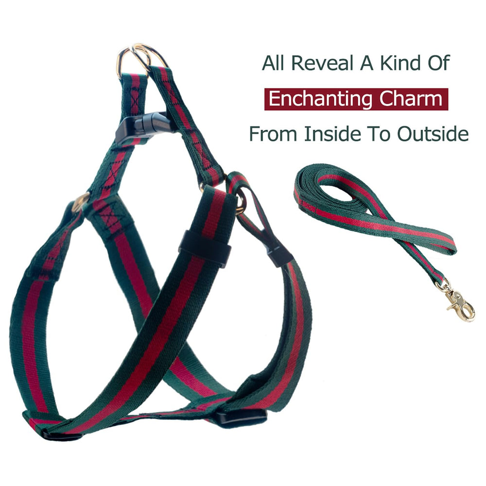 Echentie 5-foot leash enabling wide movement during outdoor adventures.