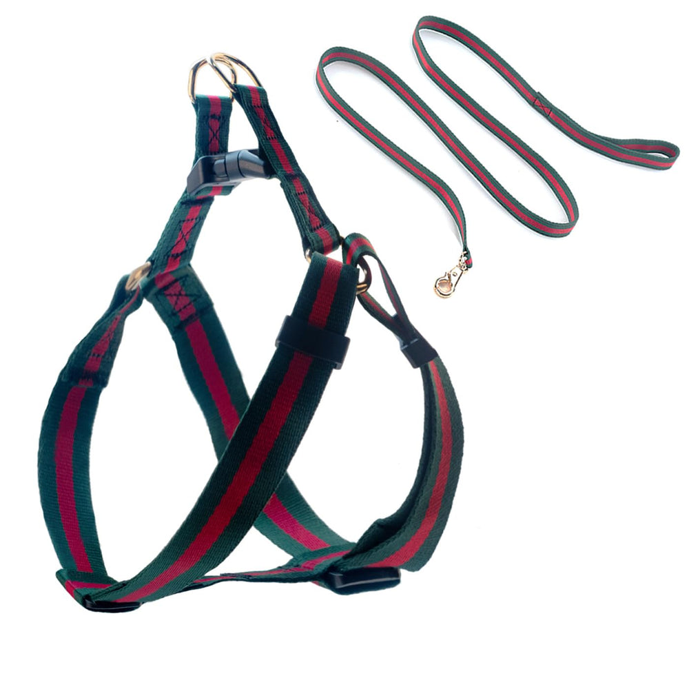 Echentie elegant dog harness close-up highlighting durable fabric and soft, comfortable surface.
