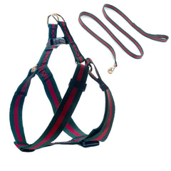 Echentie elegant dog harness close-up highlighting durable fabric and soft, comfortable surface.