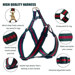 Echentie luxury harness and leash set shown with wearable design for stylish daily walks.