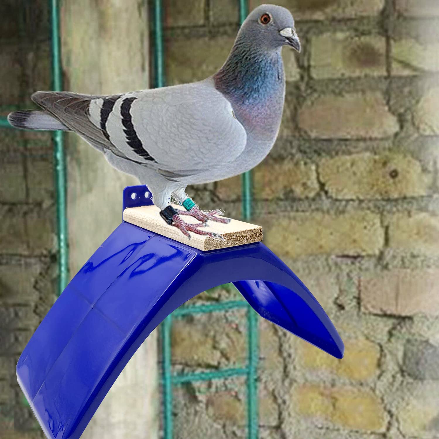 Ecjiuyi lightweight dove rest stand offers a comfortable, safe perch for racing pigeons.