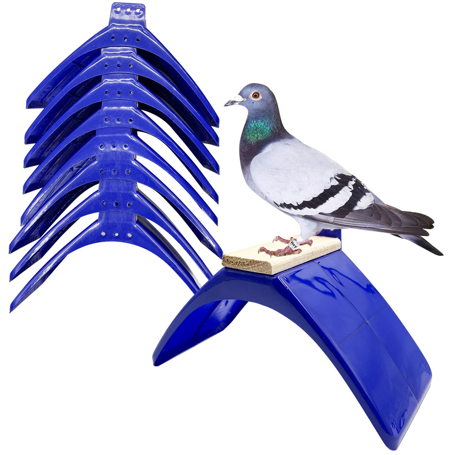 Ecjiuyi pigeon perches 8pcs pack provides durable, easy-to-clean resting spots for birds.