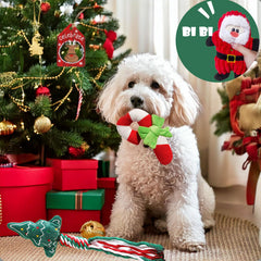 ECLAVIOS candy cane chew toy inviting long-lasting chews and tug