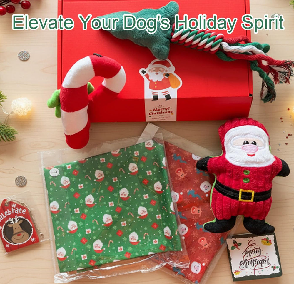 ECLAVIOS dog bandana set for festive photos and style