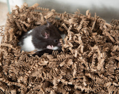 ECO Bedding Ammonia Blocker helps keep cage odors fresher for birds and small pets.