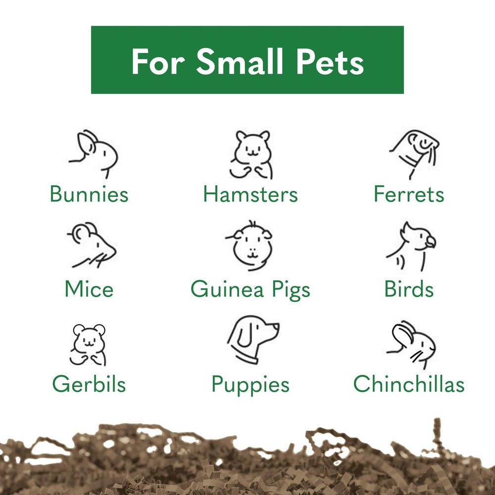 ECO Bedding's dust-free formula reduces mess for a tidier habitat.