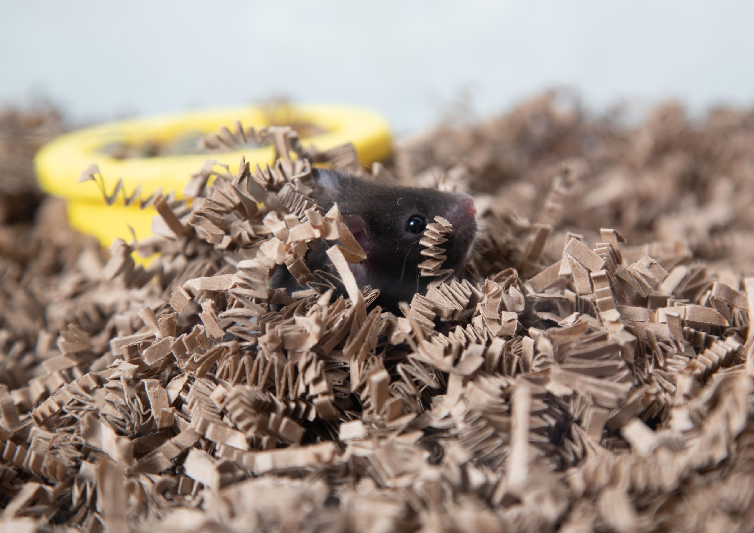 ECO Bedding's odor-control feature helps maintain a fresh cage environment.