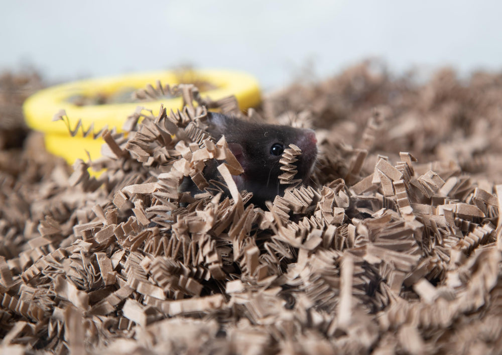 ECO Bedding's odor-control feature helps maintain a fresh cage environment.
