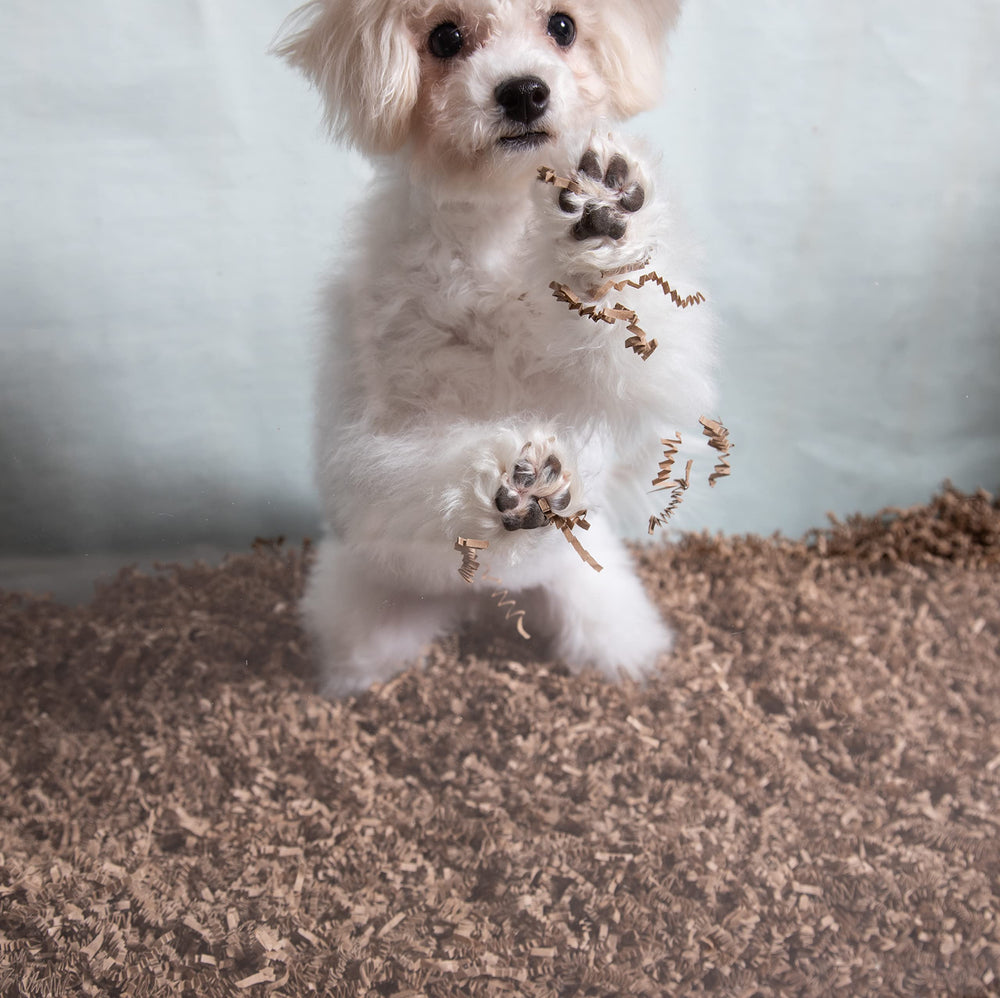 ECO BEDDING pet-friendly materials meet gentle, safe bedding needs.