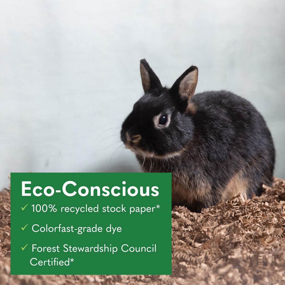 ECO BEDDING small-pet approved bedding suitable for guinea pigs and hamsters.
