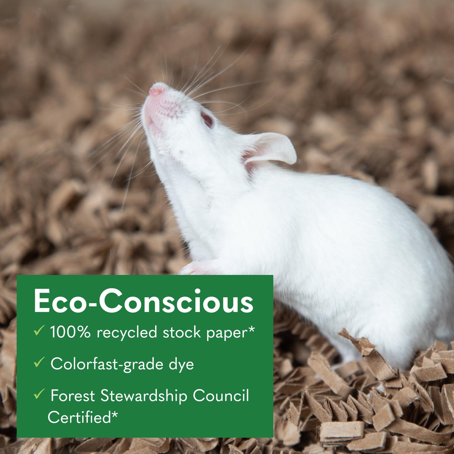 ECO Bedding for small pets offers a soft, absorbent surface for hamsters, gerbils, and rabbits.
