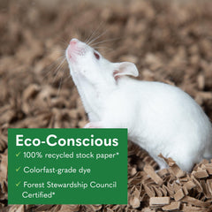 ECO Bedding for small pets offers a soft, absorbent surface for hamsters, gerbils, and rabbits.