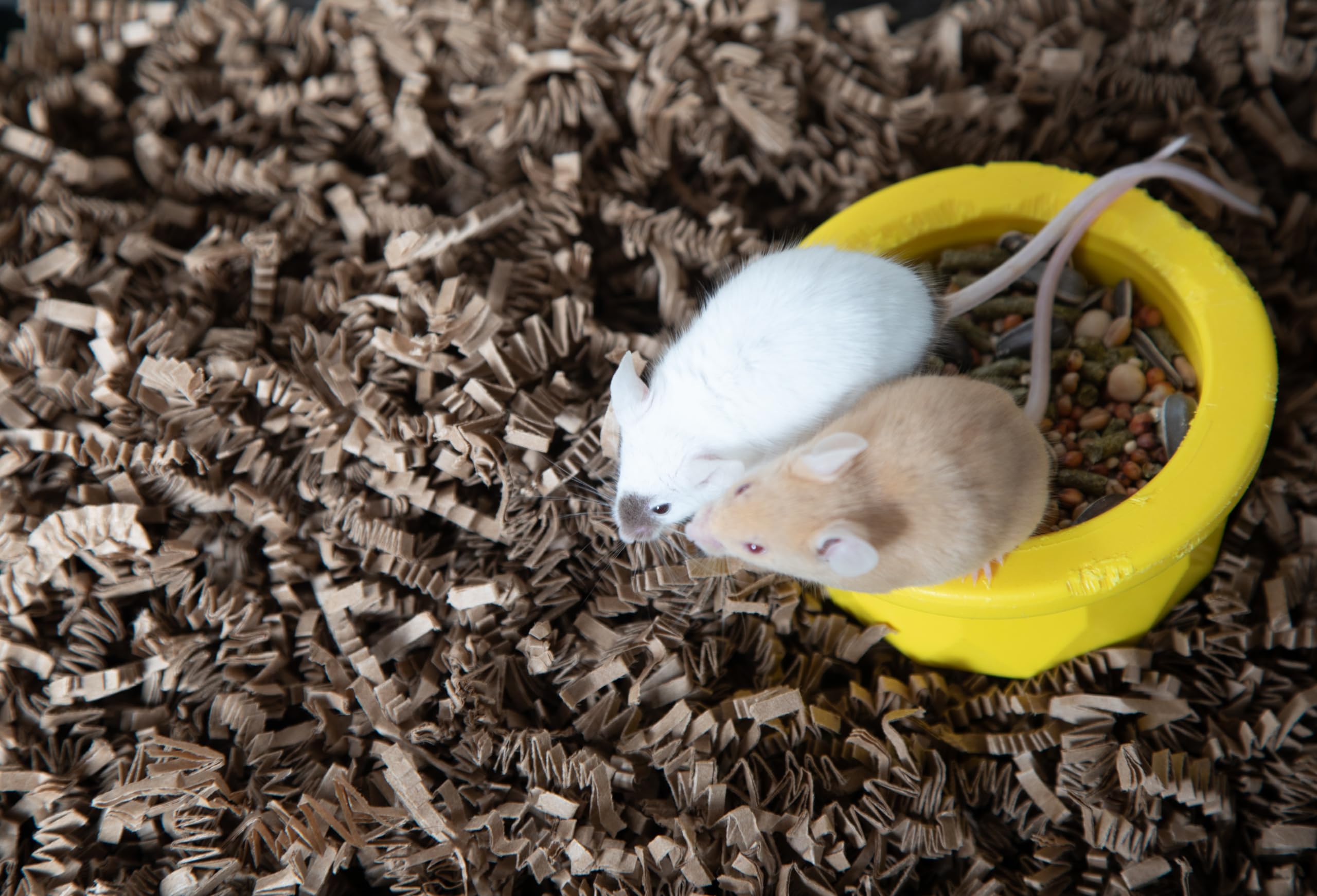 ECO BEDDING versatile for birds and small pets in nests and cages.
