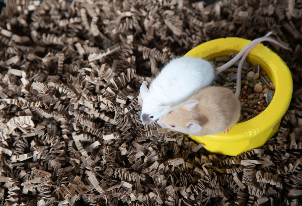 ECO BEDDING versatile for birds and small pets in nests and cages.