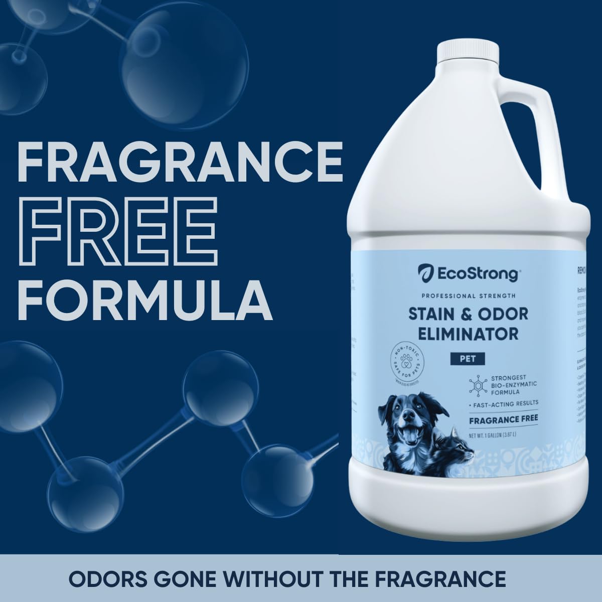 Eco Strong carpet-stain-cleaner-application demonstrates enzyme action on pet accidents.