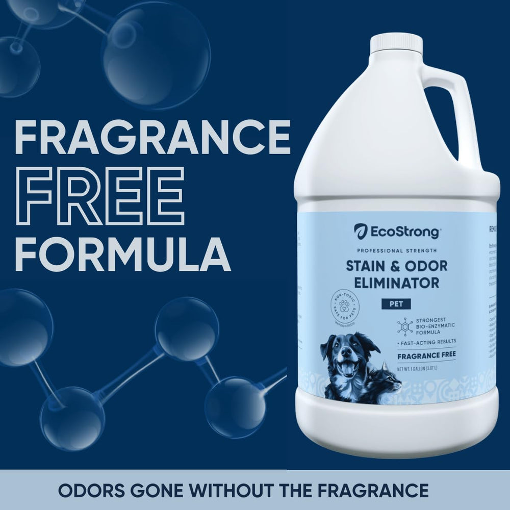 Eco Strong carpet-stain-cleaner-application demonstrates enzyme action on pet accidents.