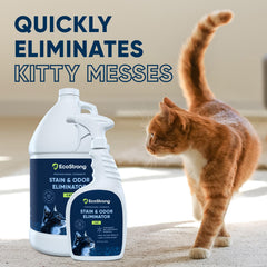 Eco Strong Cat Stain Odor Remover carpet demonstrates odor neutralization and stain lifting