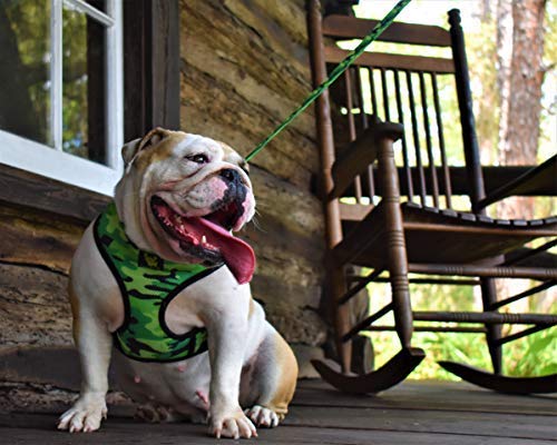 EcoBark Correa para Perro: agarre ergonómico que reduce la fatiga
