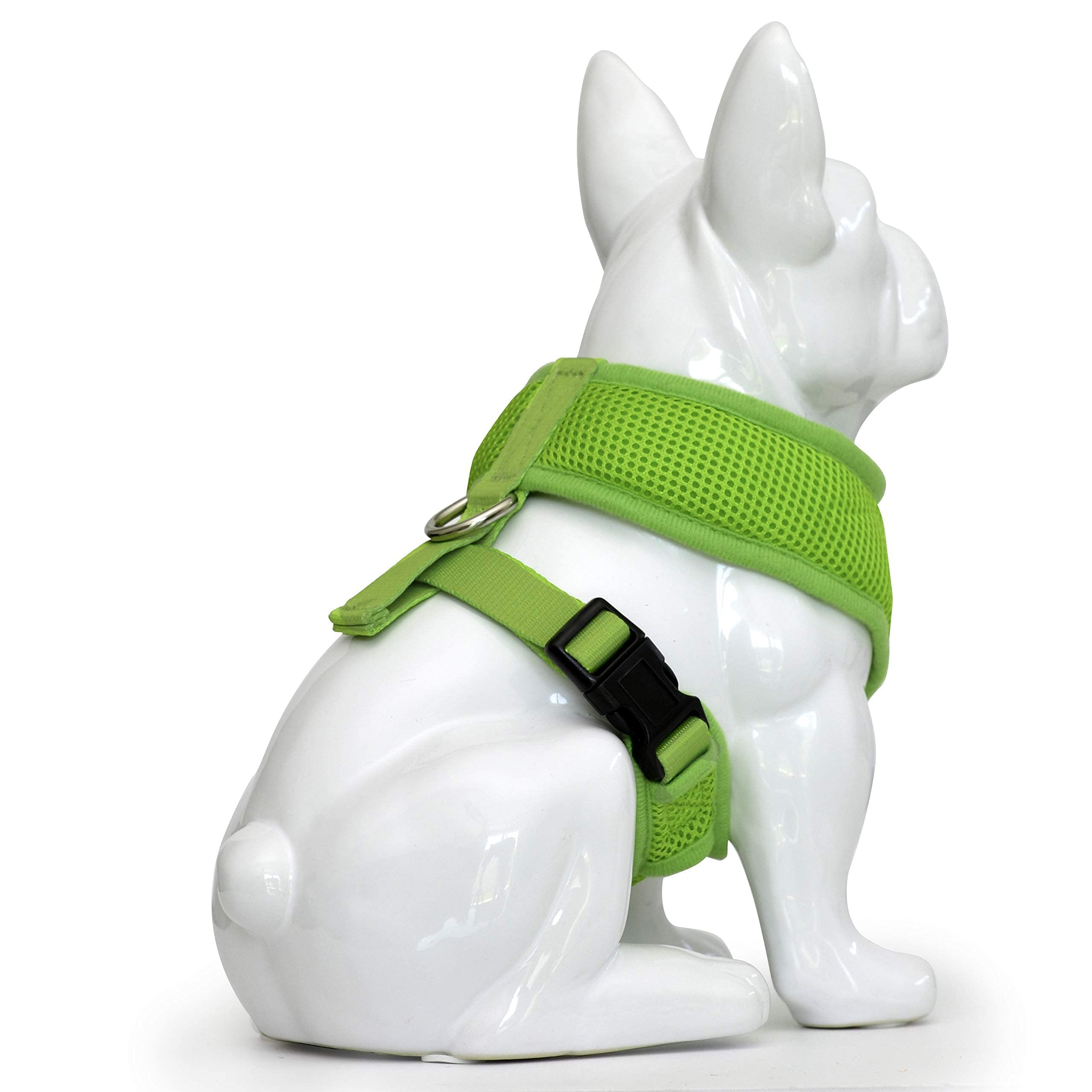 EcoBark harness ideal for puppies and small dogs during safe walks.