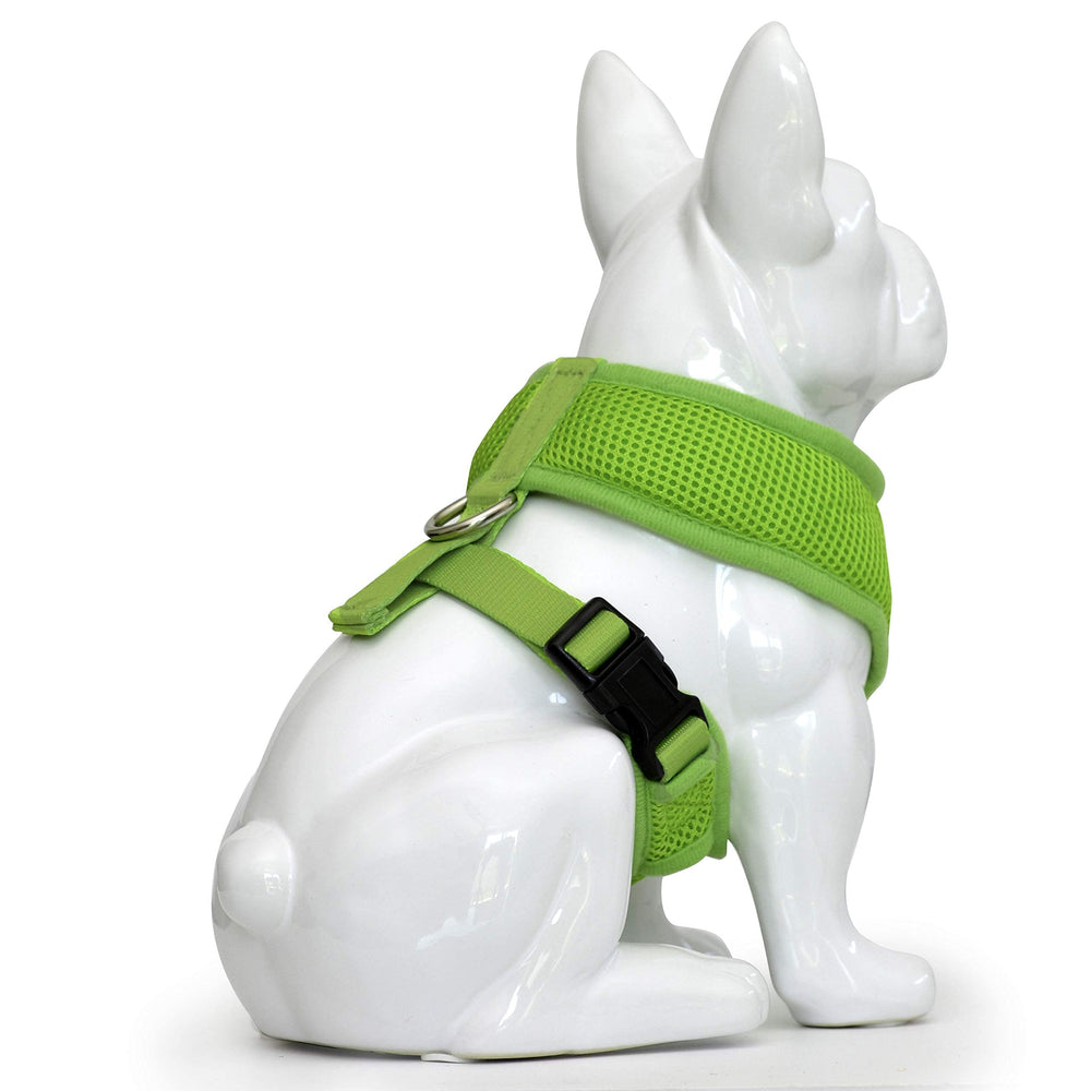 EcoBark harness ideal for puppies and small dogs during safe walks.