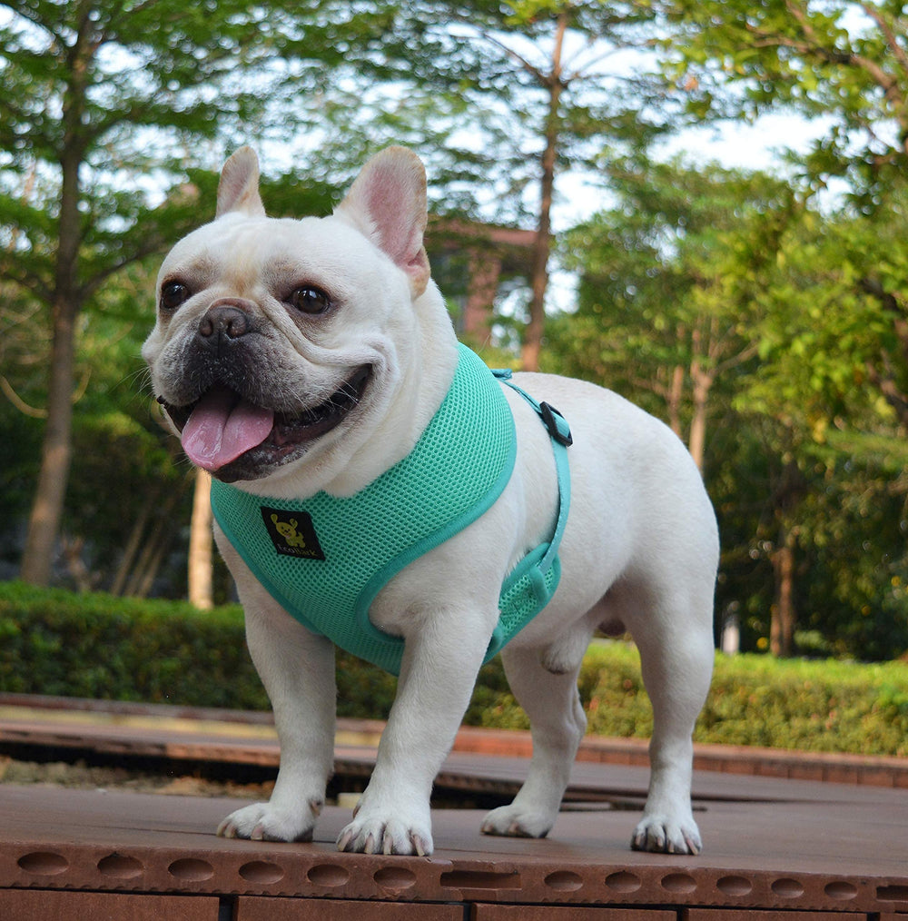 EcoBark Dog Harness recycled straps highlight eco-friendly durability.