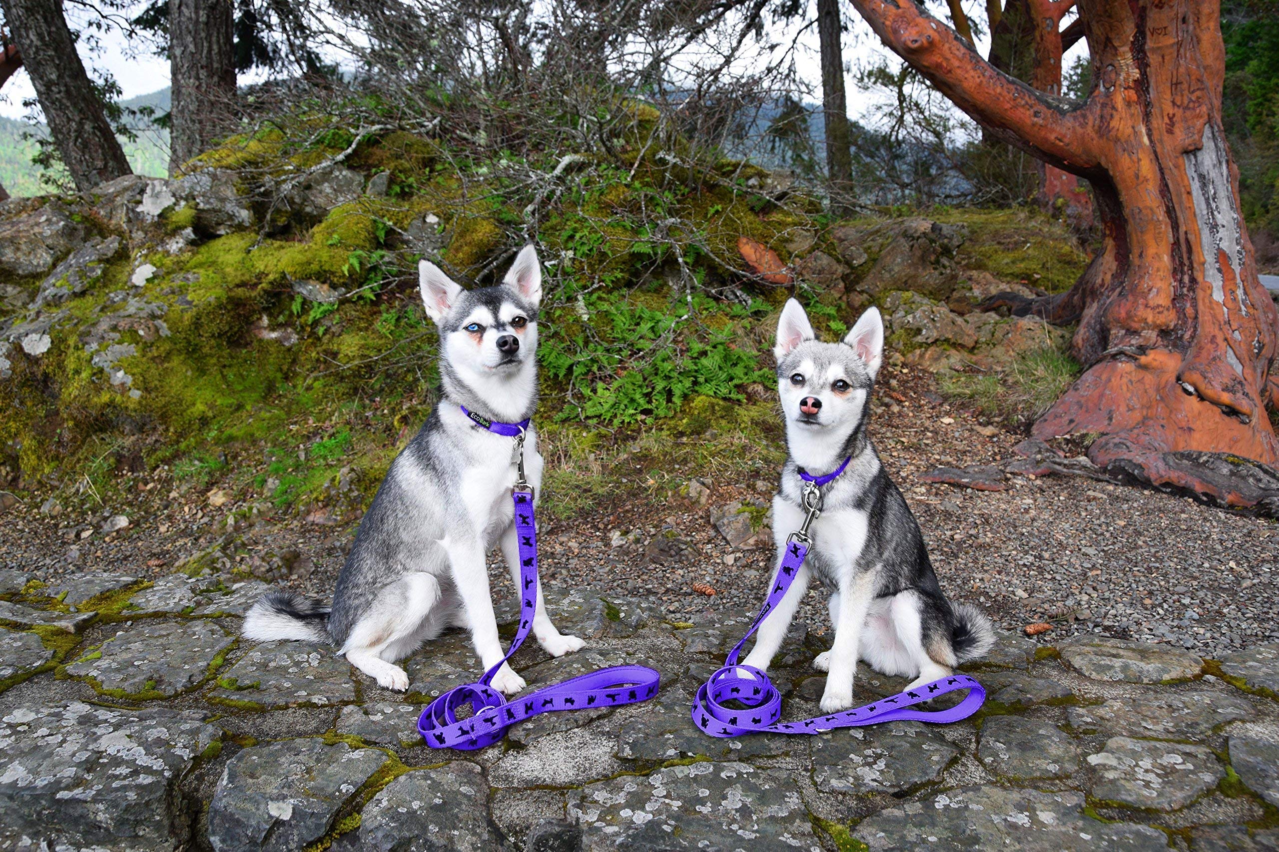 EcoBark dog leash padded handle suitable for multi-use outdoor activities.